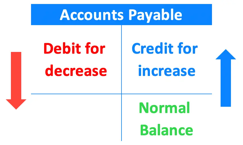 When Accounts Payable Didn’t Match the Trial Balance - Cover Image